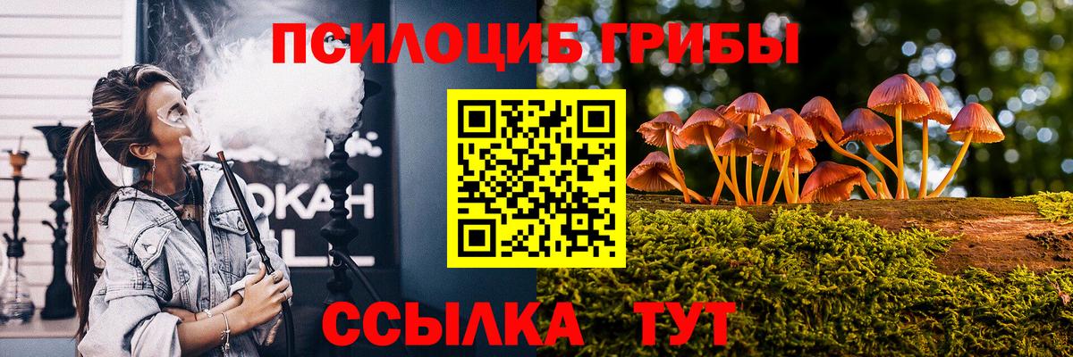 Галлюциногенные грибы Psilocybe Кашира